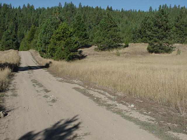 4501 Luther Road Springdale, WA 99173 - Photo 2 of 3