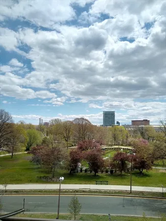 a view of a big green field