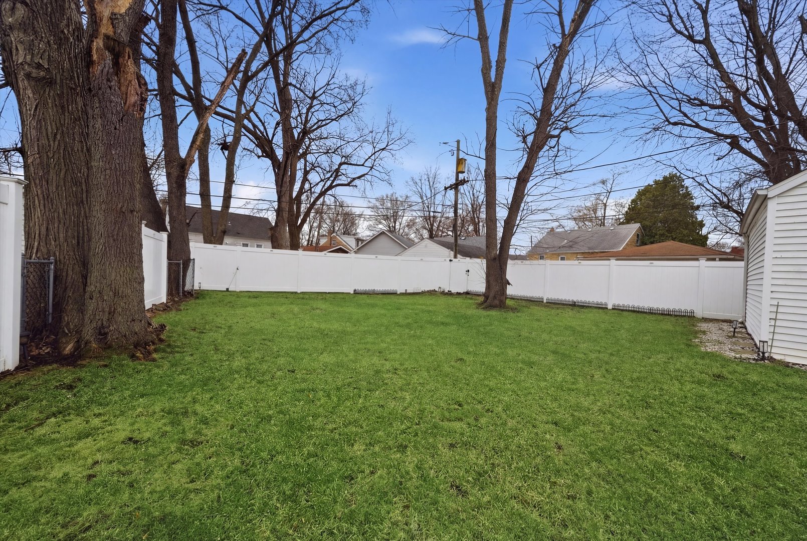 3719 211th Place Matteson, IL 60443 - Photo 39 of 48 a view of backyard with large trees