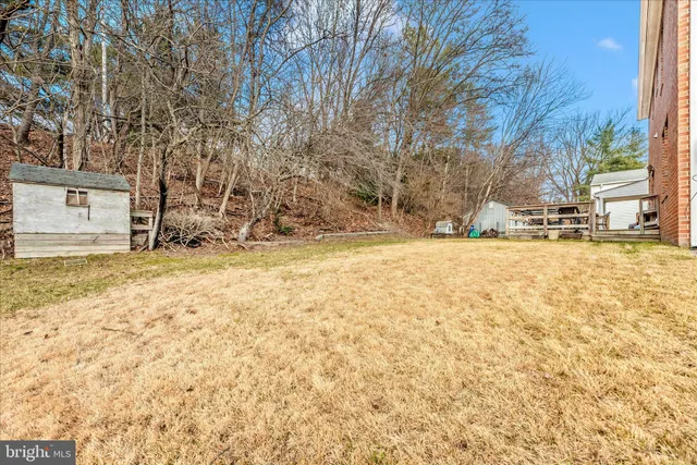 a view of a backyard with a large tree