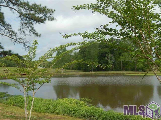 12474 Gross Road Clinton, LA 70722 - Photo 2 of 5