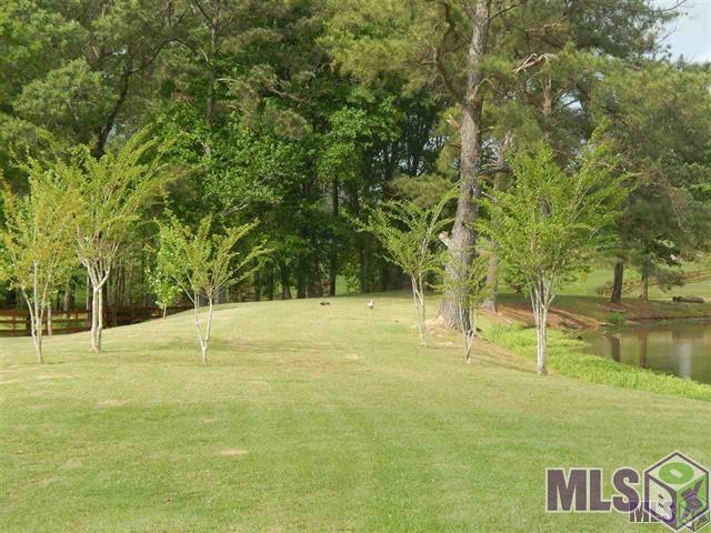 12474 Gross Road Clinton, LA 70722 - Photo 3 of 5