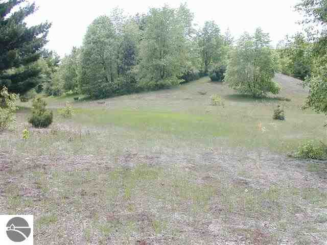 East Bellinger Road Cedar, MI 49621 - Photo 8 of 16