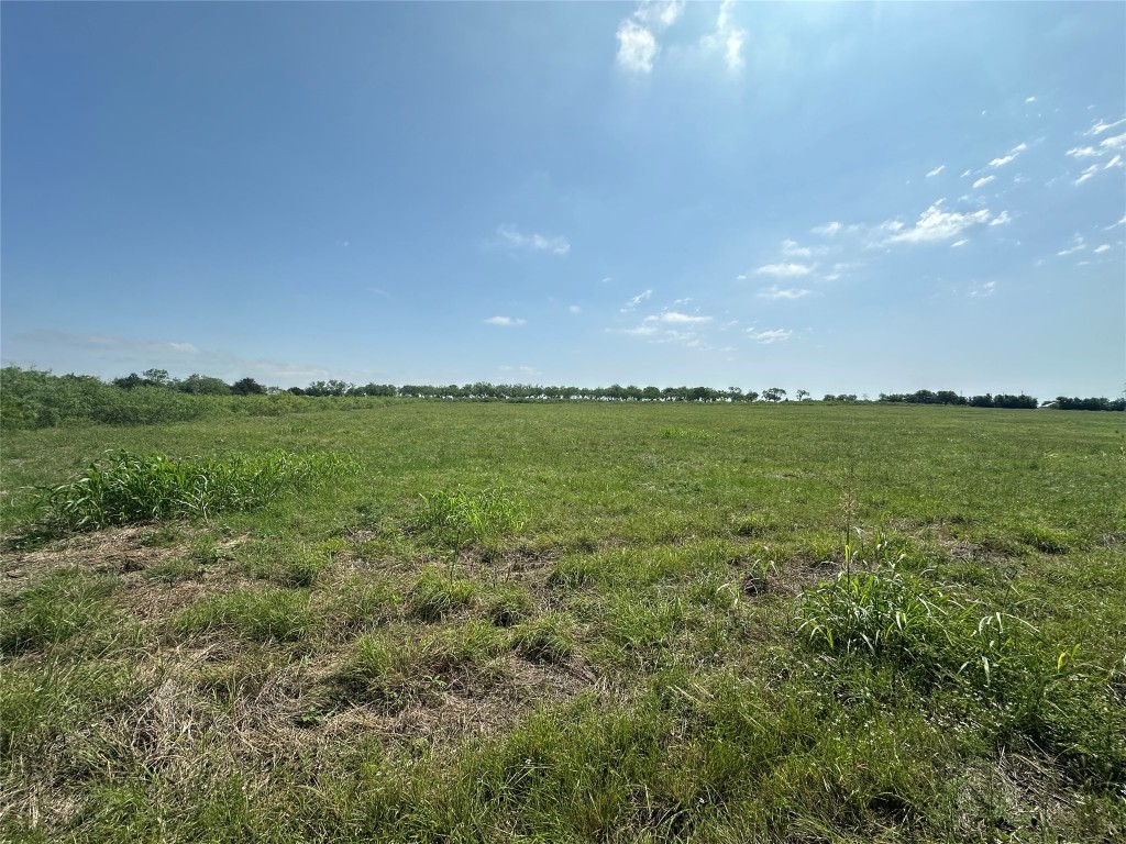1800 Scull Road San Marcos, TX 78666 - Photo 1 of 1 Gallery Image 1
