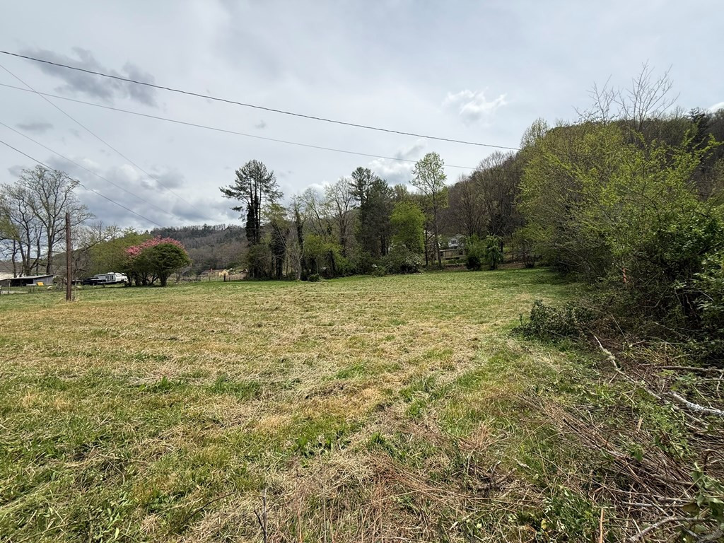 317 Robinson Road Andrews, NC 28901 - Photo 5 of 10