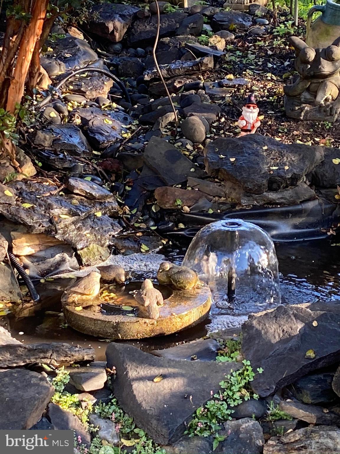 26016 Ridge Road Damascus, MD 20872 - Photo 11 of 27 Beautiful and Serene Water Feature