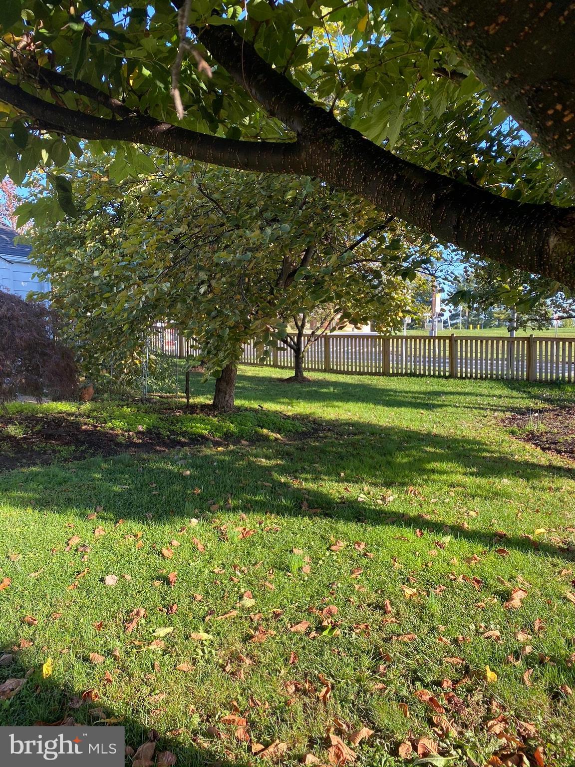 26016 Ridge Road Damascus, MD 20872 - Photo 12 of 27 Fenced Front Yard