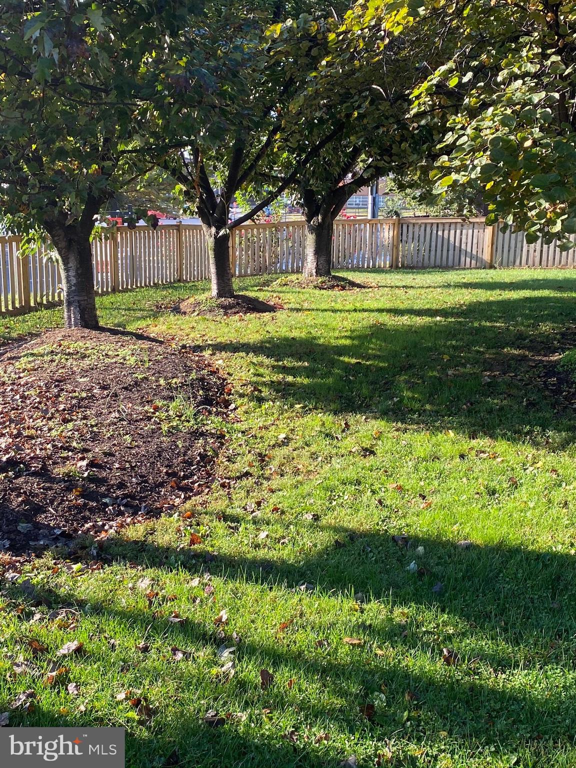 26016 Ridge Road Damascus, MD 20872 - Photo 13 of 27 Fenced Side Yard View