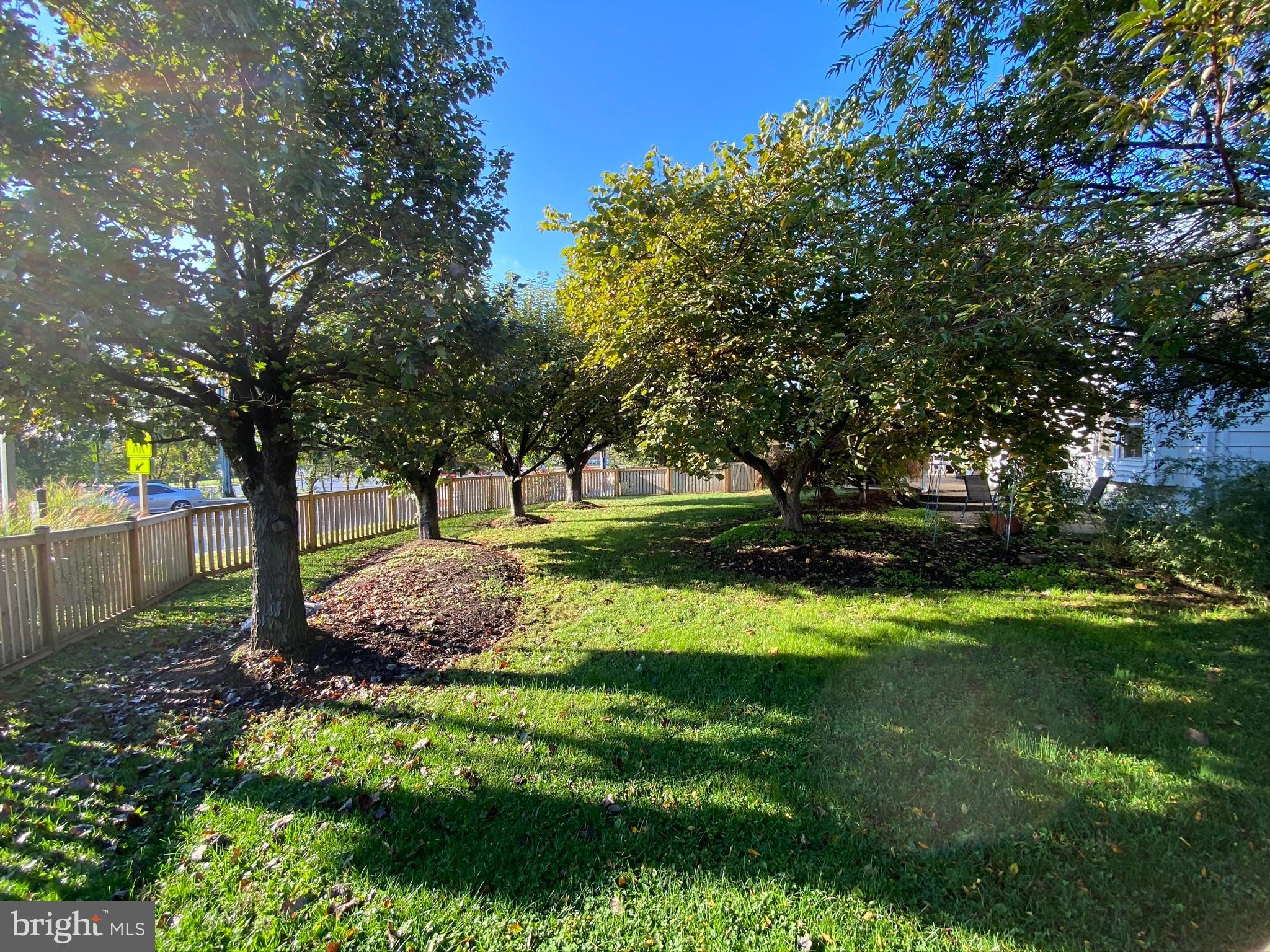 26016 Ridge Road Damascus, MD 20872 - Photo 14 of 27 Landscaped- Fenced Side Yard