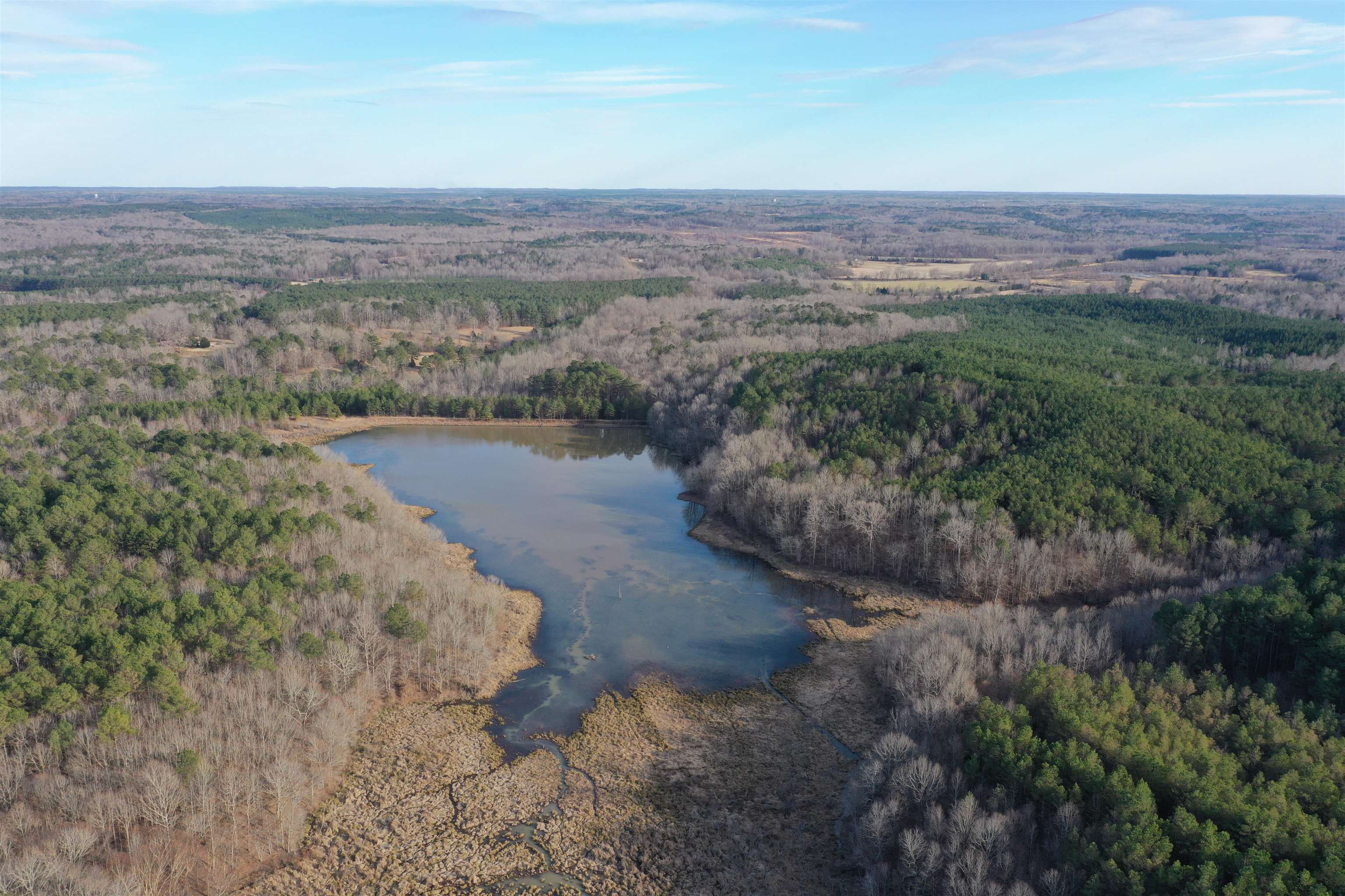 0 Cr 419 Road Ripley, MS 38663 - Photo 2 of 5 a view of a dry yard with trees