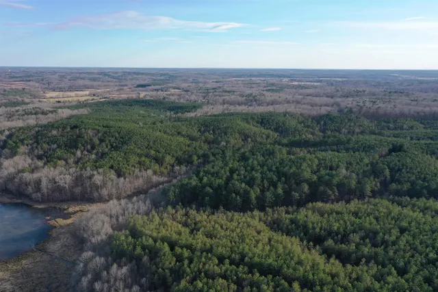 a view of a field with a forest