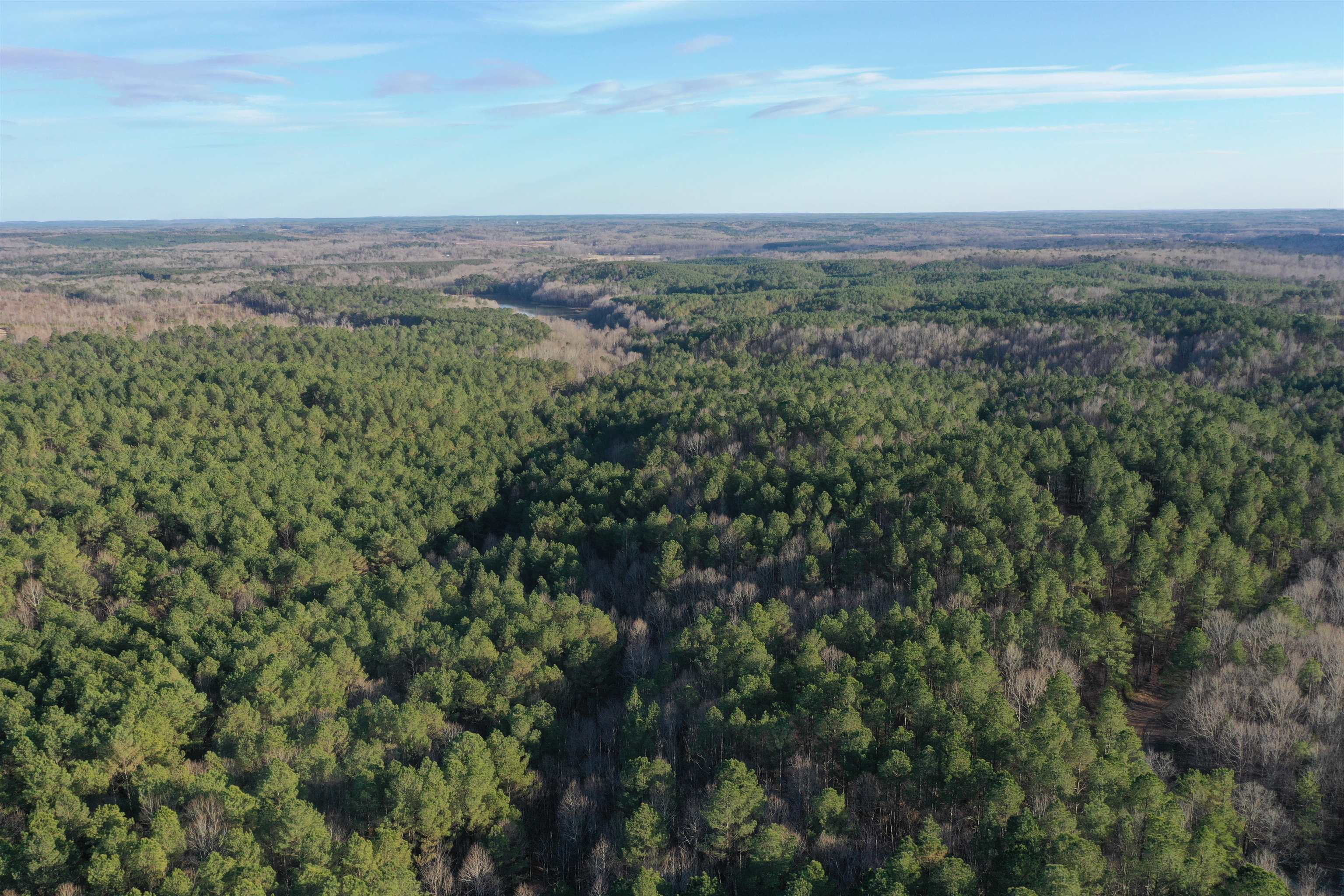 0 Cr 419 Road Ripley, MS 38663 - Photo 4 of 5 an aerial view of multiple house