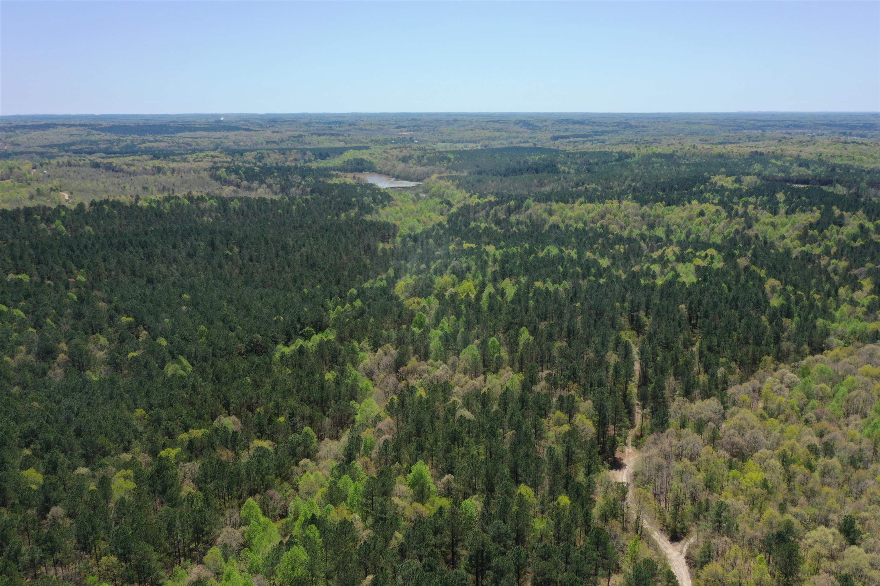 0 Cr 419 Road Ripley, MS 38663 - Photo 5 of 5 an aerial view of forest
