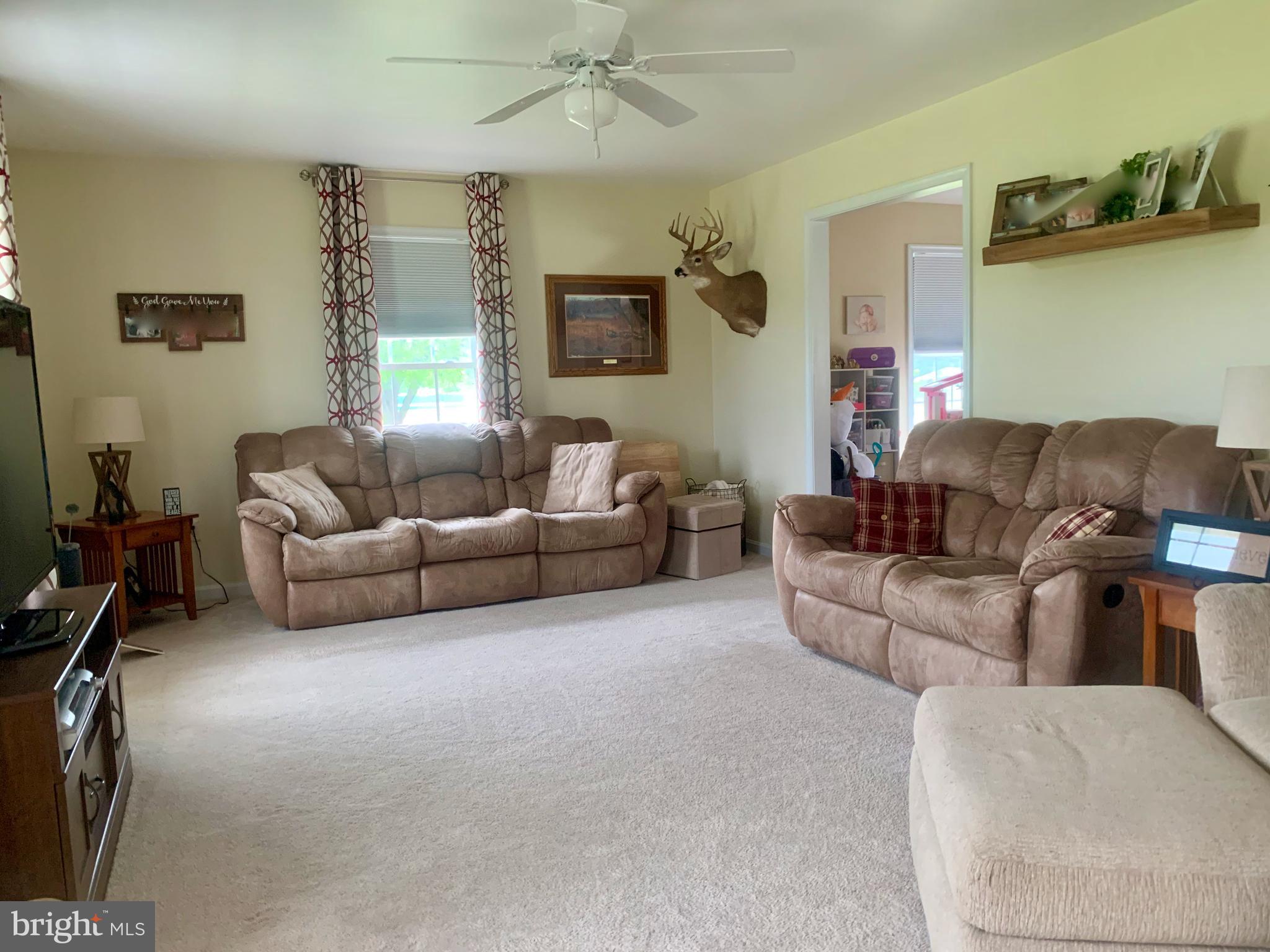 10937 Greensboro Road Denton, MD 21629 - Photo 11 of 25 living room