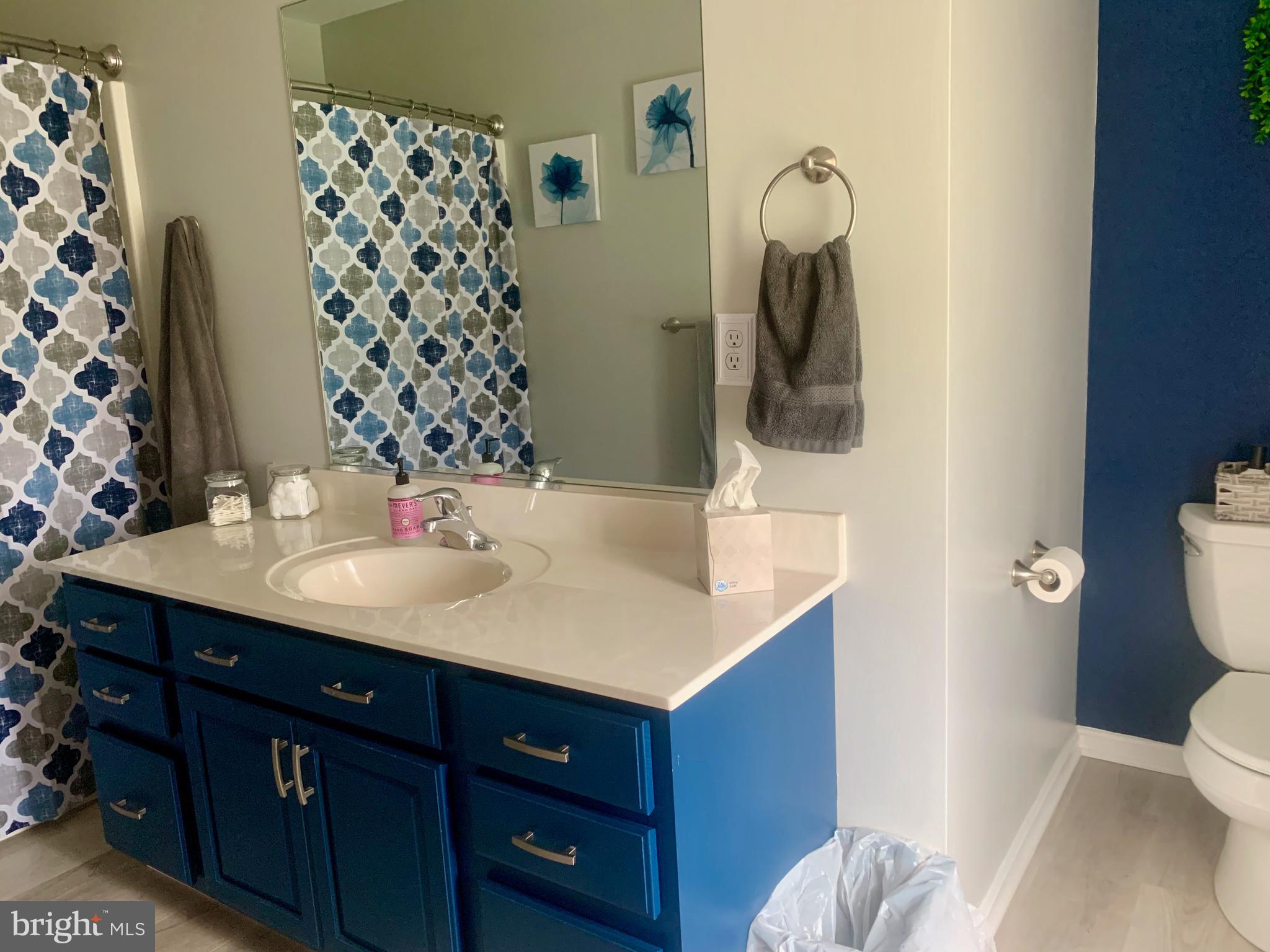 10937 Greensboro Road Denton, MD 21629 - Photo 16 of 25 owners suite bathroom