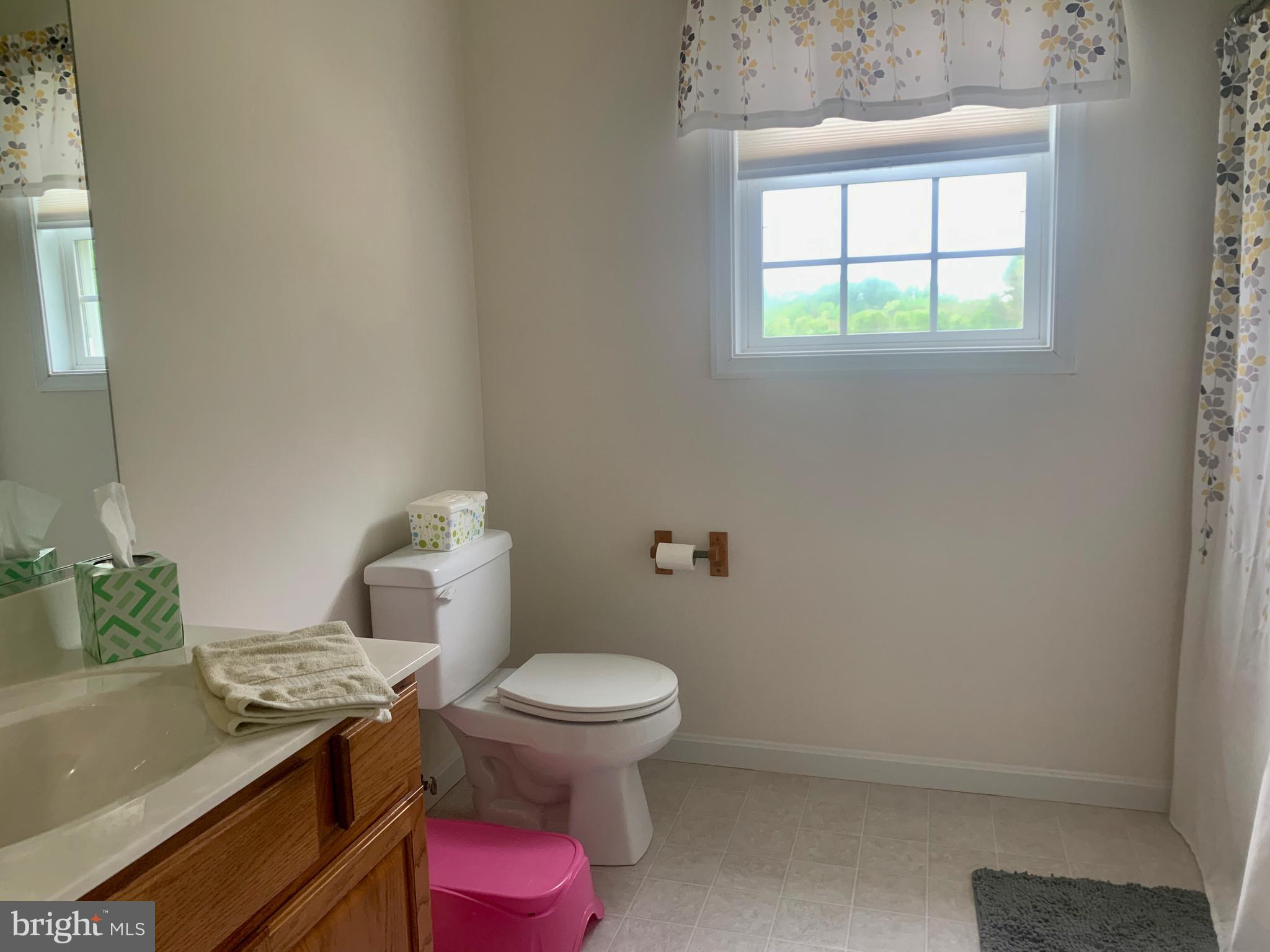 10937 Greensboro Road Denton, MD 21629 - Photo 18 of 25 upstairs full bathroom