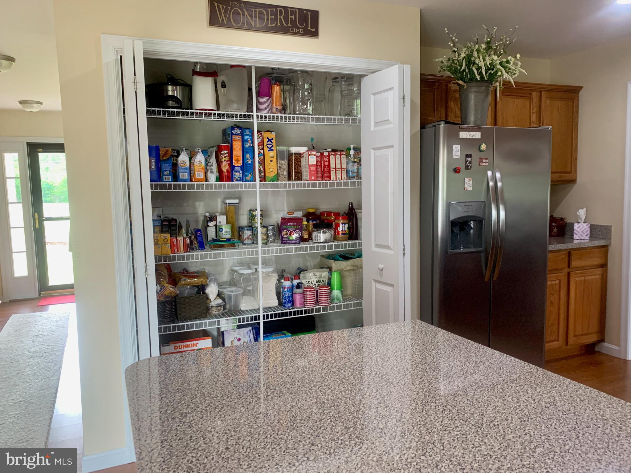 10937 Greensboro Road Denton, MD 21629 - Photo 8 of 25 pantry