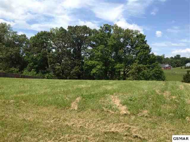 13 Robert Ridge Road Sevierville, TN 37862 - Photo 1 of 1