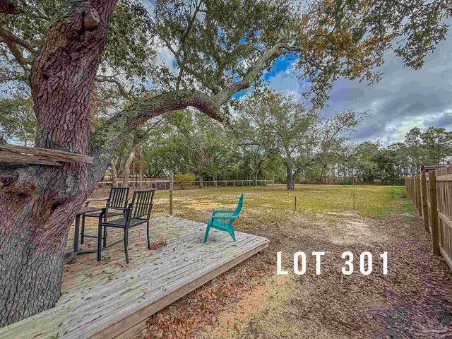 a view of a yard with large trees