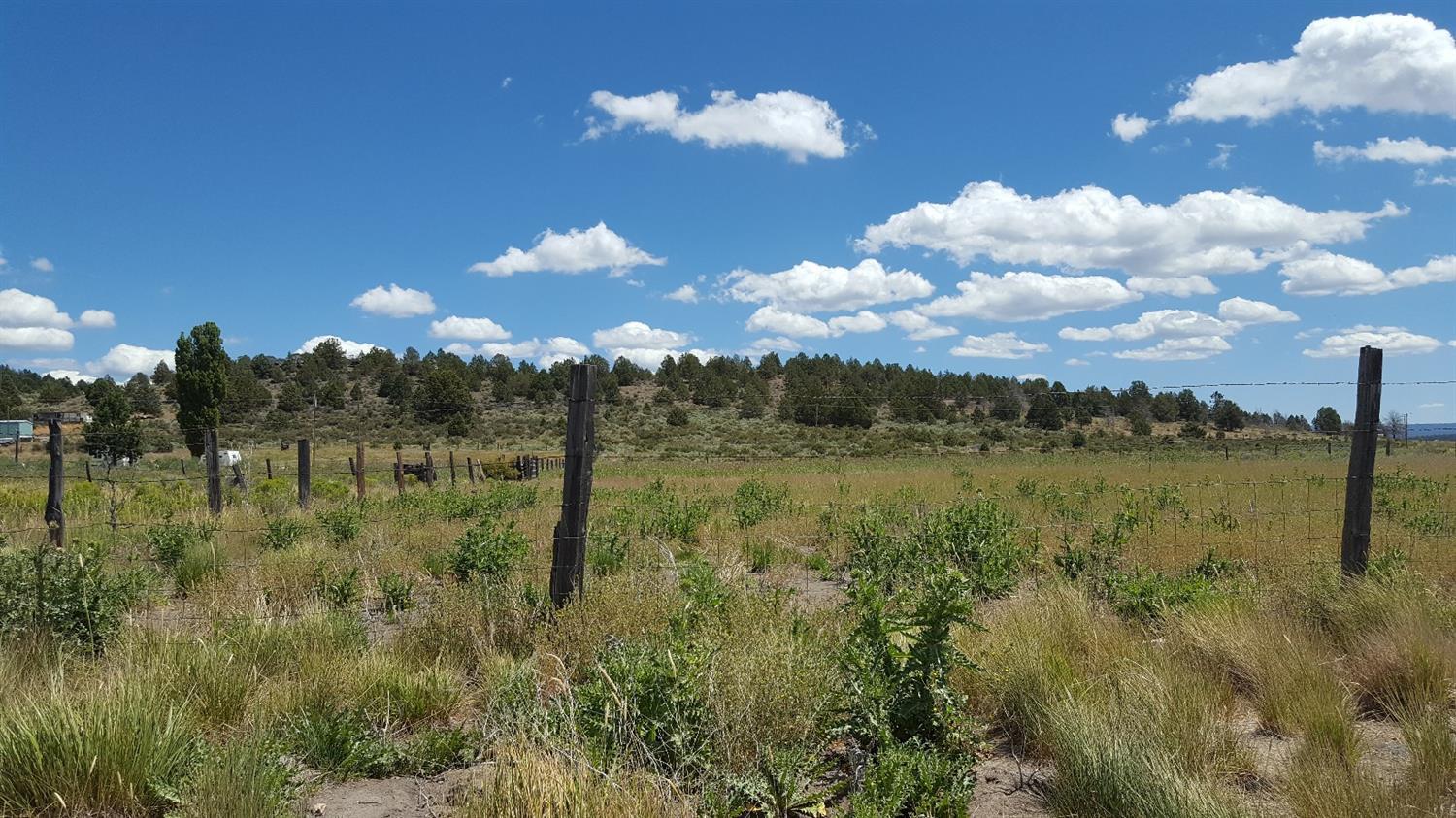 32314 Drews Road Chiloquin, OR 97624 - Photo 19 of 27 Additional Photo