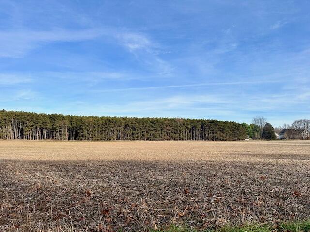 0 Seymour Road, Unit PARCEL F Grass Lake, MI 49240 - Photo 2 of 3 IMG_6771