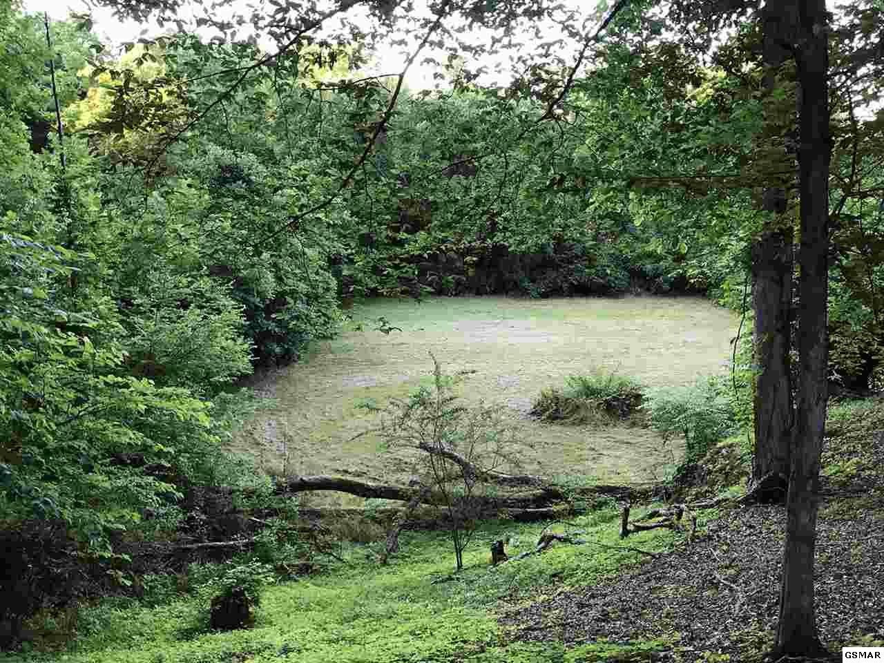 17 Riceland Drive Sevierville, TN 37862 - Photo 10 of 12