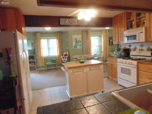 9257 Elms Road Clio, MI 48420 - Photo 7 of 38 21196308-6.JPG