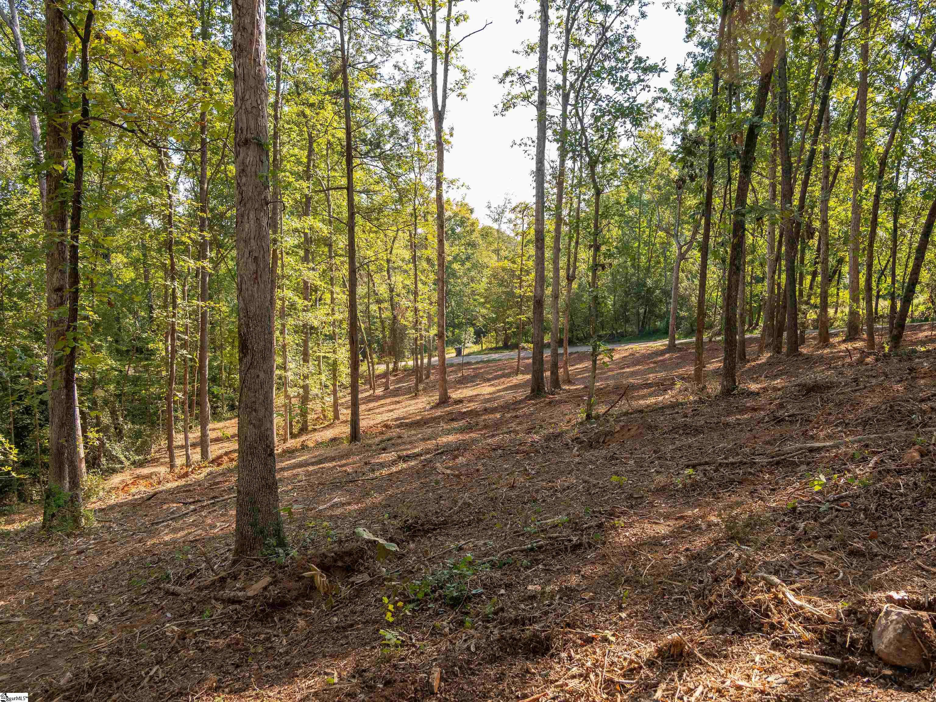 Gibson Road, Unit 1 Anderson, SC 29625 - Photo 12 of 20
