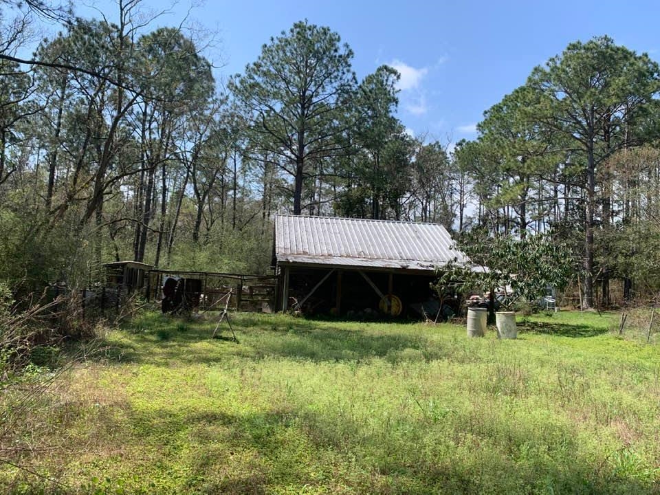 26264 Feely Road Elberta, AL 36530 - Photo 7 of 30