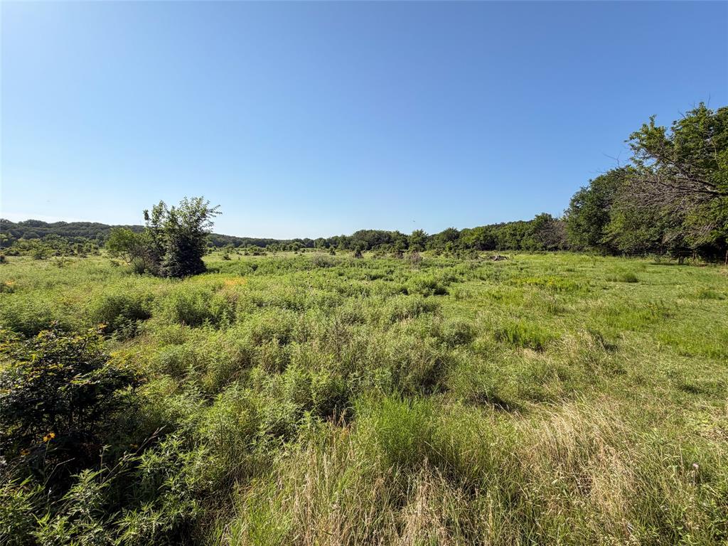 Tbd Carminati Road Montague, TX 76251 - Photo 24 of 32