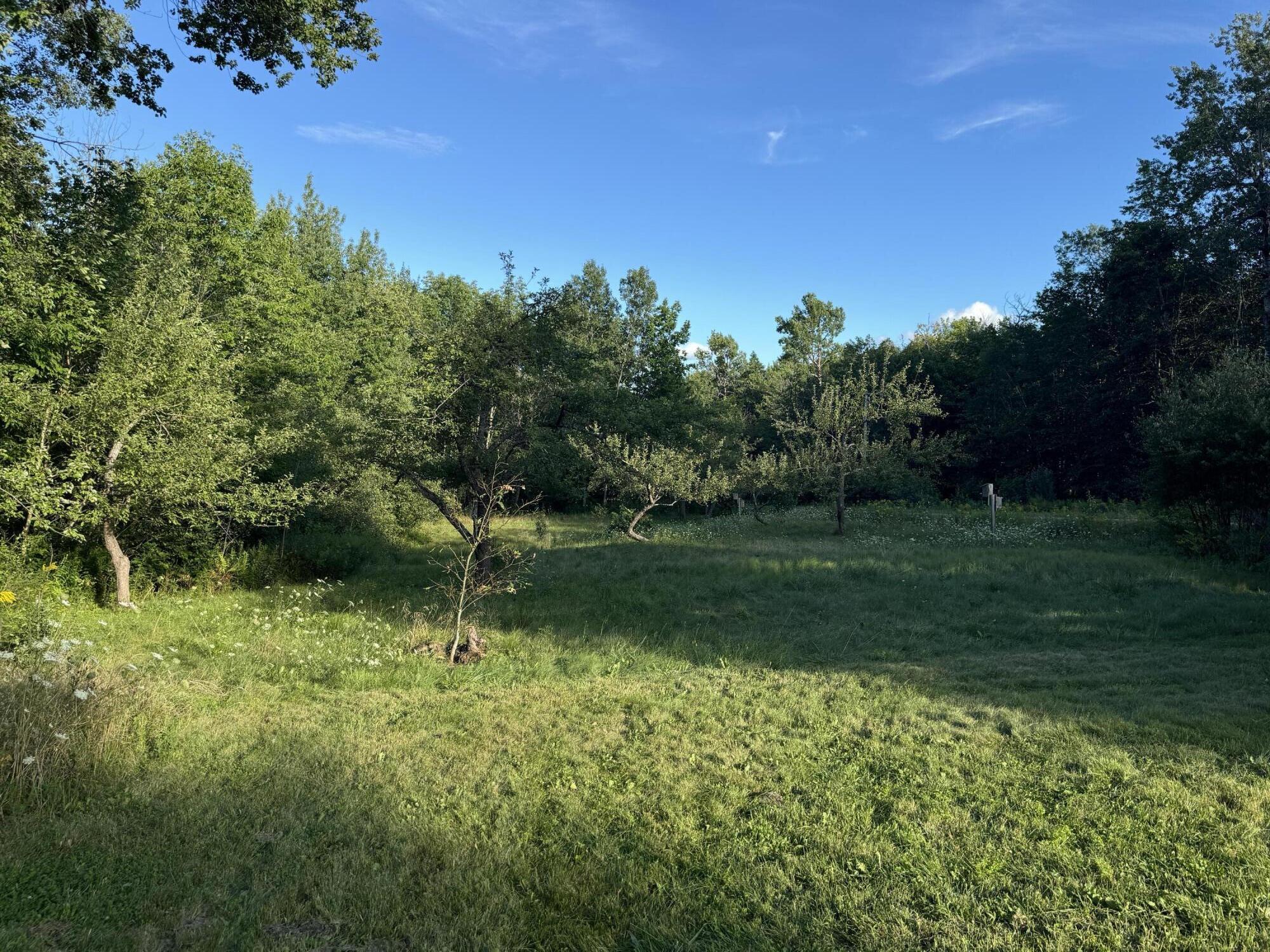 211 Clark Road Prospect, ME 04981 - Photo 42 of 44 20240812_215734014_iOS