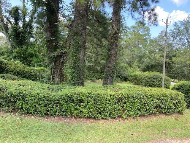 25238 Mc Phail Farm Road Florala, AL 36442 - Photo 35 of 35 Gallery Image 35