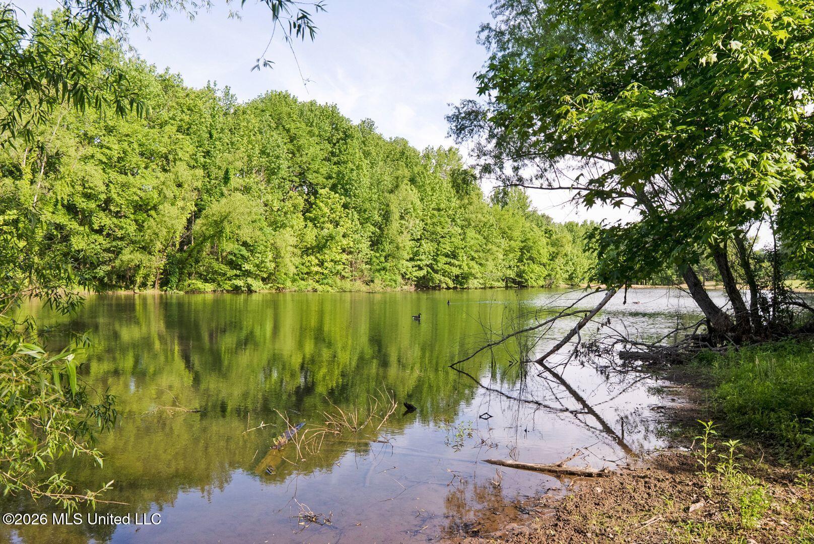 528 Arkabutla Dam Road Coldwater, MS 38618 - Photo 77 of 99 90-ARK_FINAL
