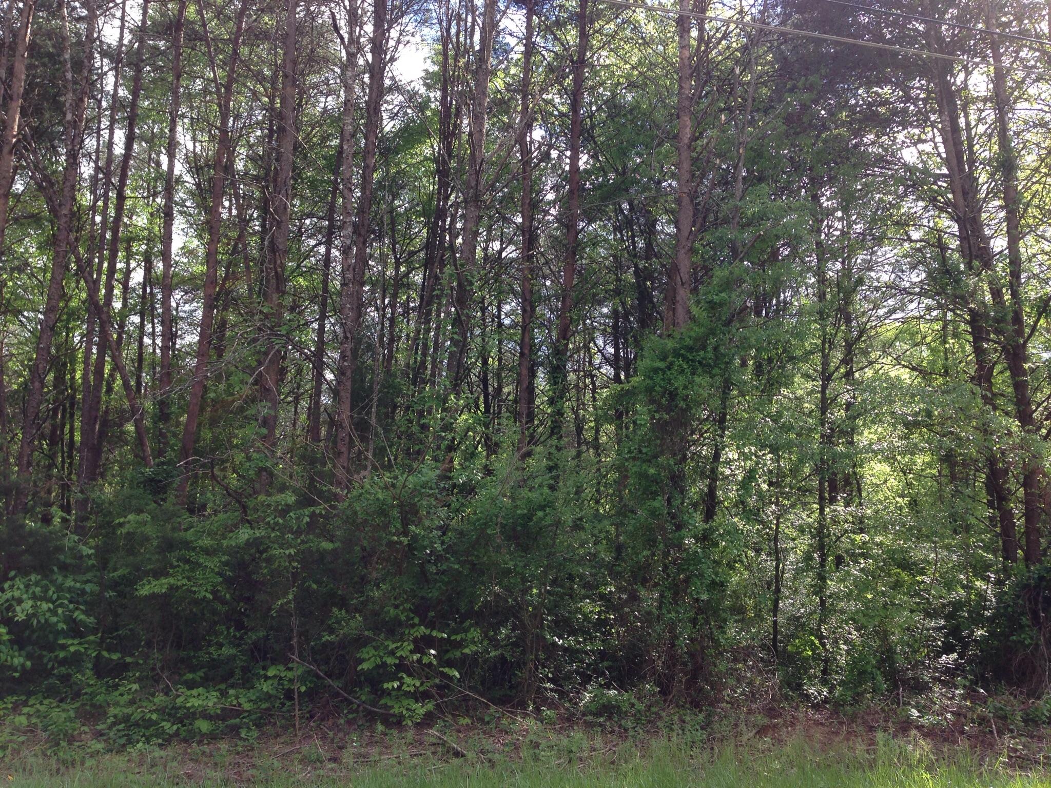 0 Levi Road Chattanooga, TN 37415 - Photo 1 of 17 image
