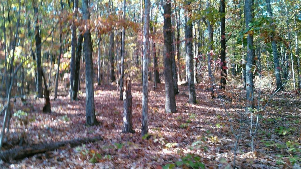 0 Levi Road Chattanooga, TN 37415 - Photo 11 of 17 IMG_1300