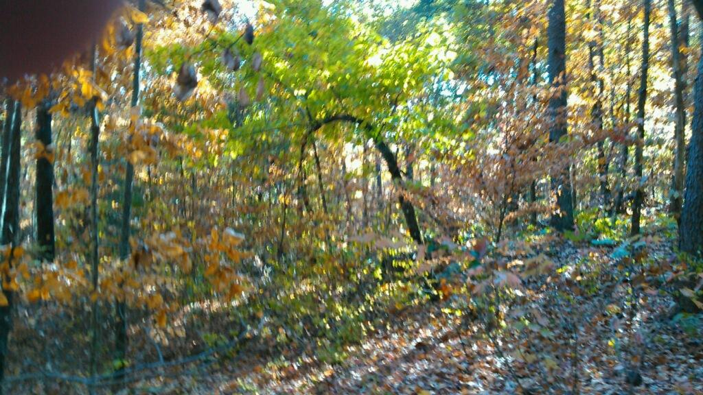 0 Levi Road Chattanooga, TN 37415 - Photo 13 of 17 IMG_1302