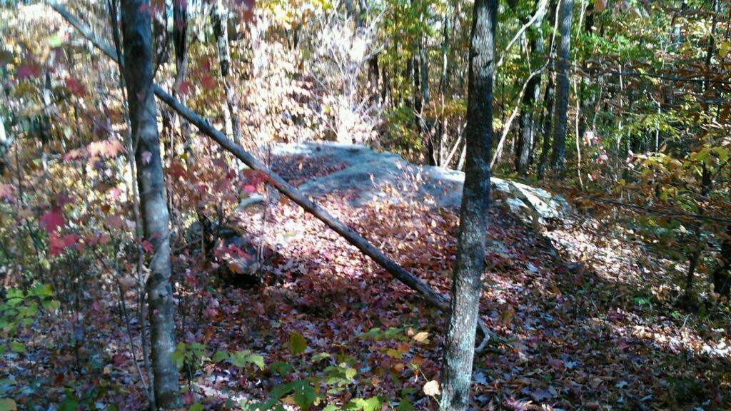 0 Levi Road Chattanooga, TN 37415 - Photo 14 of 17 IMG_1303