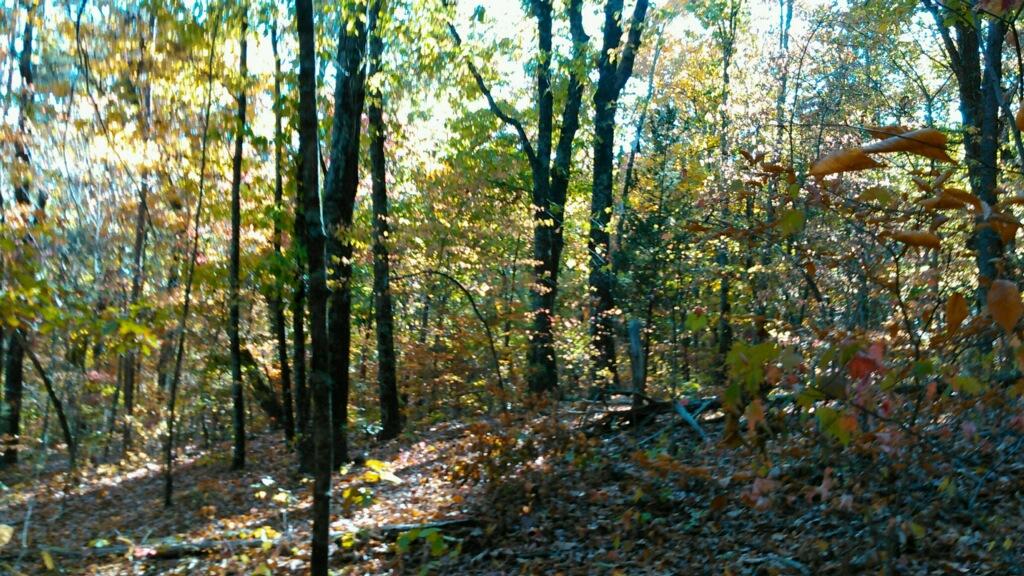 0 Levi Road Chattanooga, TN 37415 - Photo 15 of 17 IMG_1304