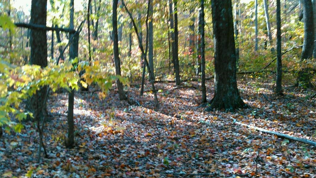 0 Levi Road Chattanooga, TN 37415 - Photo 16 of 17 IMG_1306