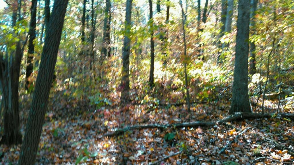 0 Levi Road Chattanooga, TN 37415 - Photo 17 of 17 IMG_1307