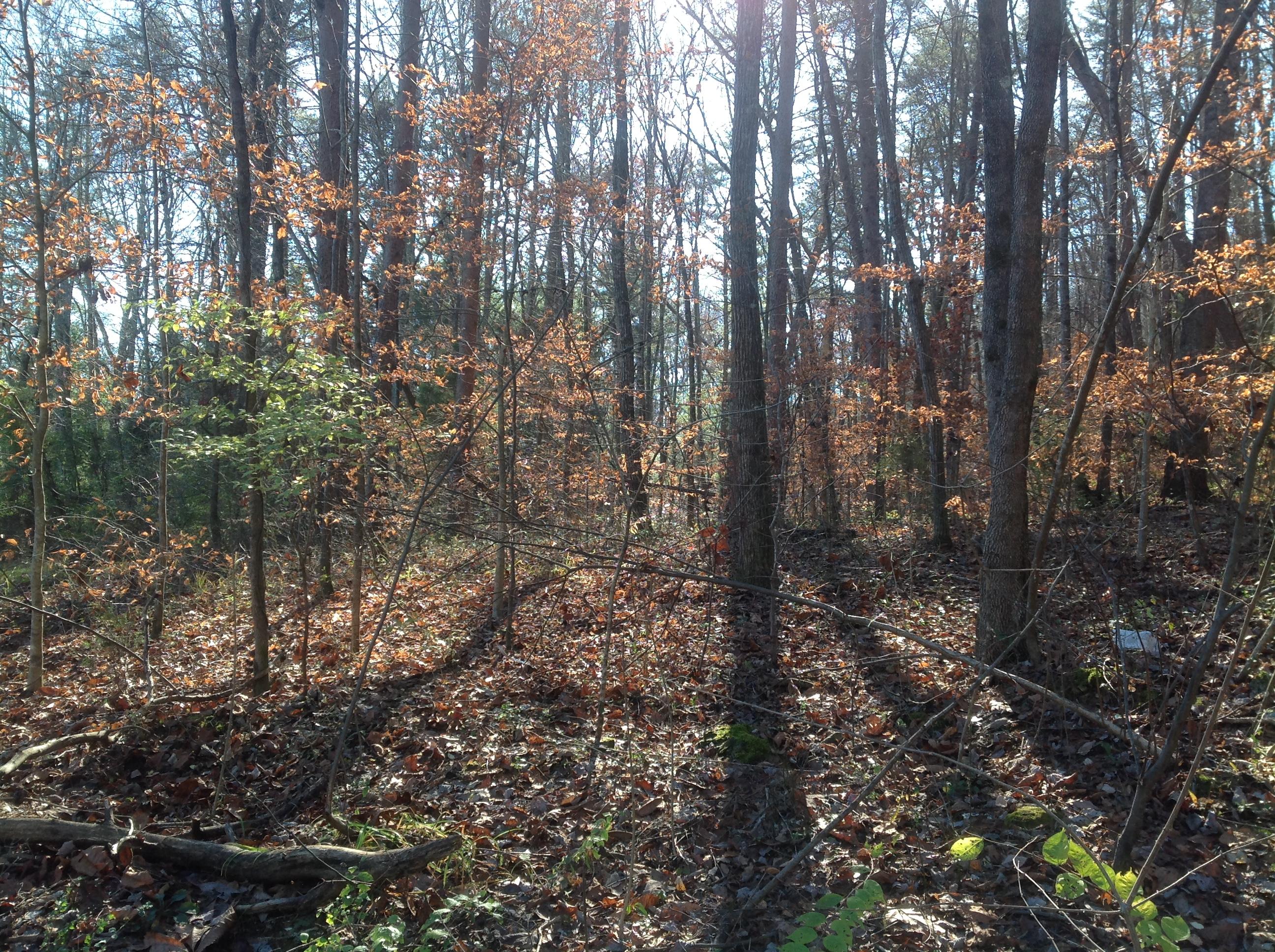 0 Levi Road Chattanooga, TN 37415 - Photo 2 of 17 image