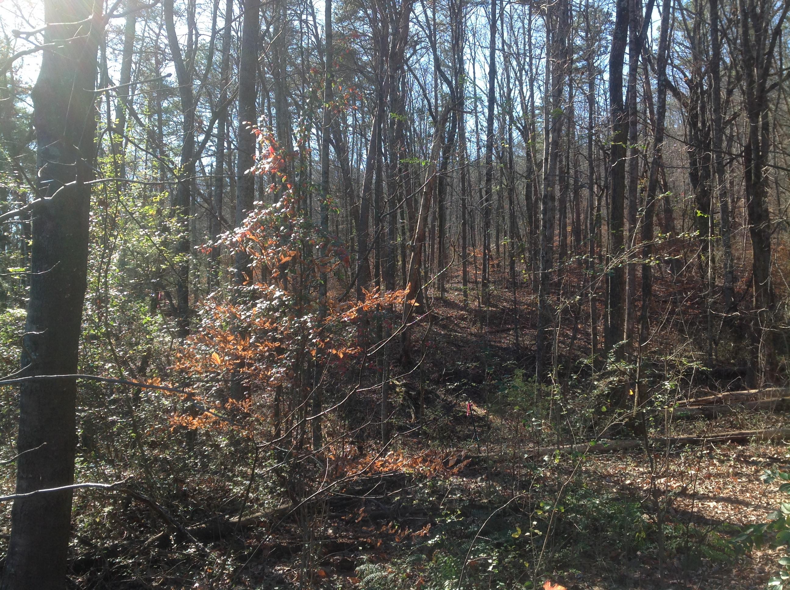 0 Levi Road Chattanooga, TN 37415 - Photo 3 of 17 image