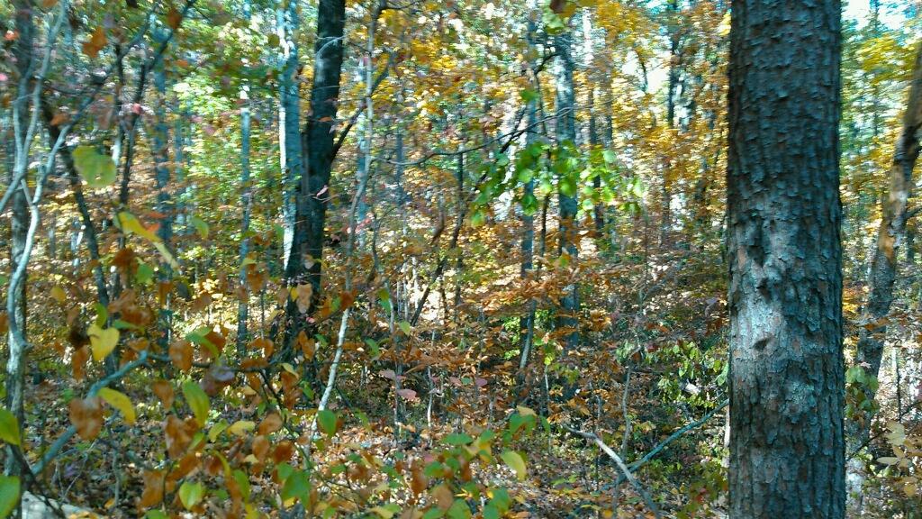 0 Levi Road Chattanooga, TN 37415 - Photo 8 of 17 IMG_1297