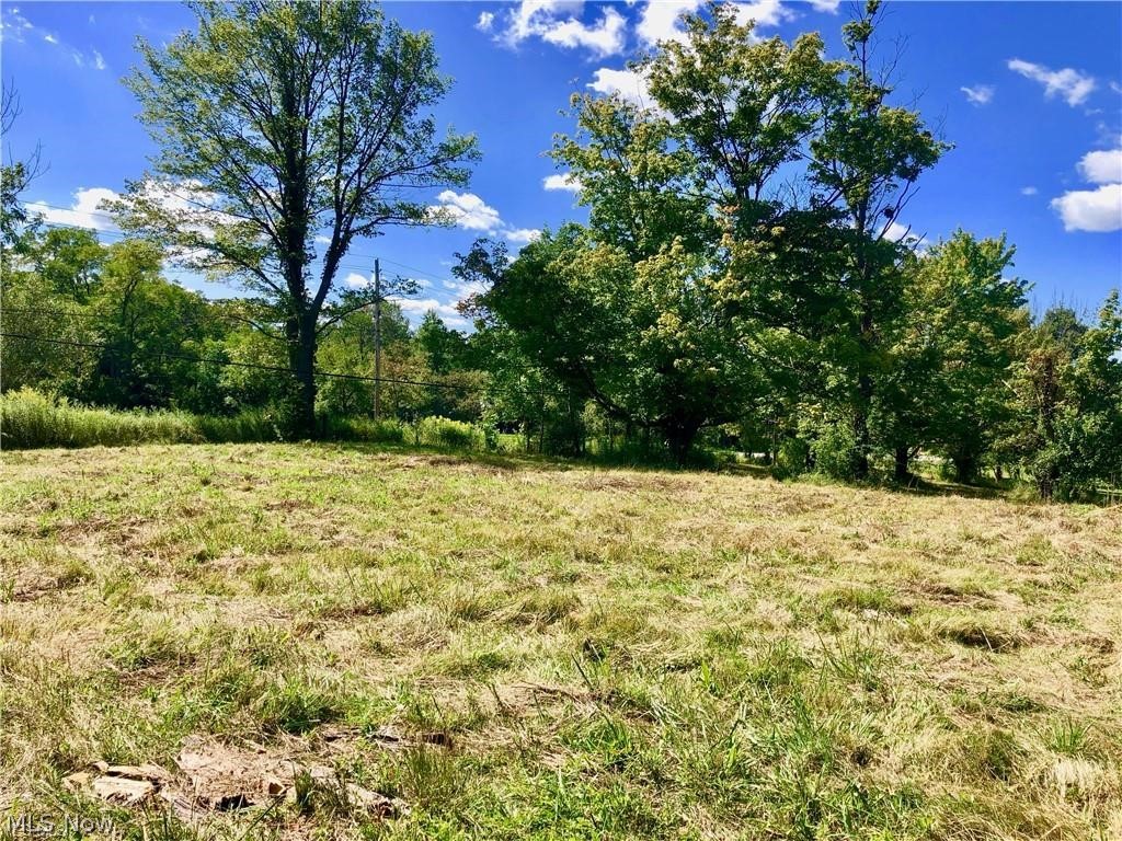 V/l V/l Chardon/welk Road Chardon, OH 44024 - Photo 4 of 11