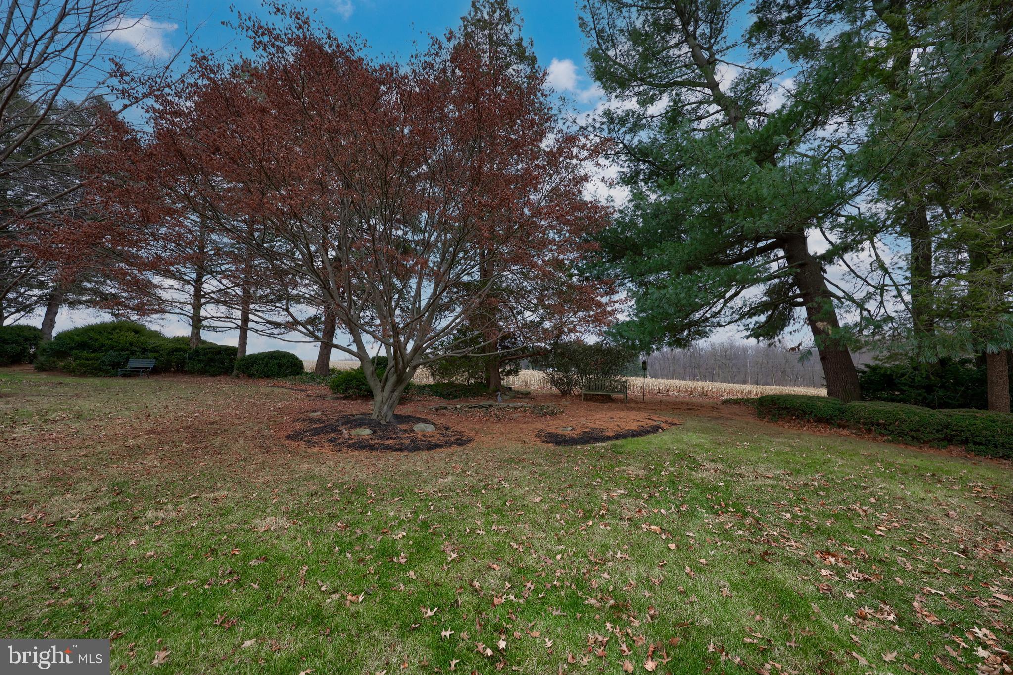 64 Oak Road Conestoga, PA 17516 - Photo 10 of 61