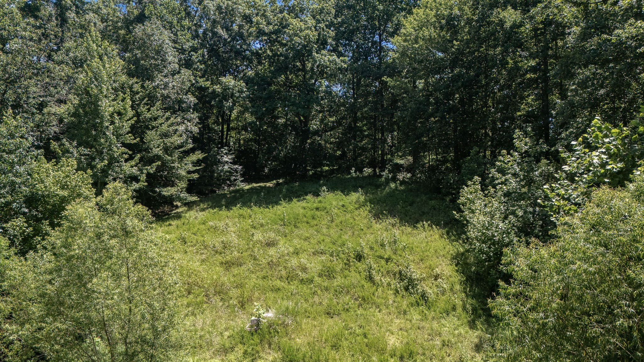 0 Light Lane Kelso, TN 37348 - Photo 10 of 20 Gallery Image 10