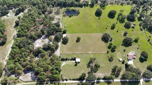 a view of a yard with a tree