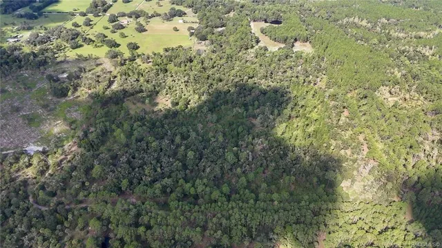 $995,000 | 20271 Southeast 81st Terrace, Inglis, FL 34449