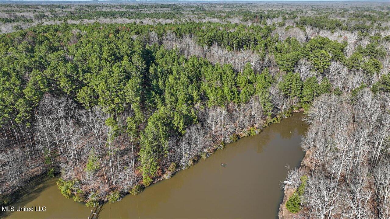 1074 Ridgeside Drive Brandon, MS 39042 - Photo 14 of 30 10-1074 Ridgeside Dr