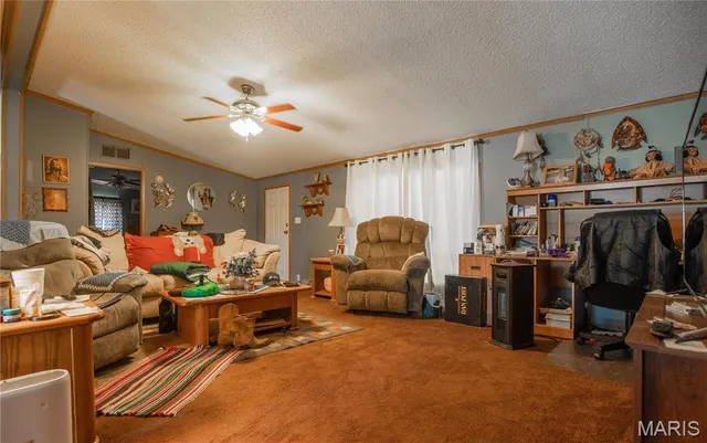 $160,000 | 5633 Missouri T, Puxico, MO 63960